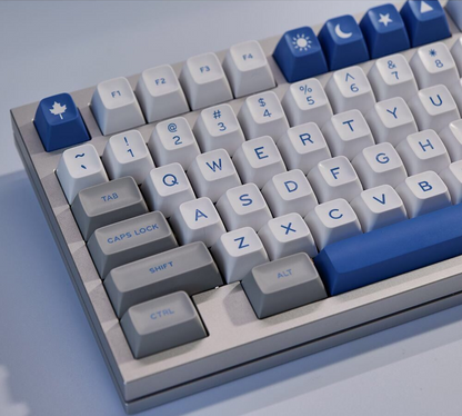 Grey and Blue keycaps (172)
